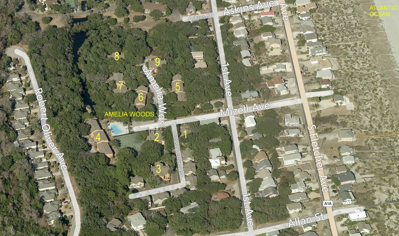 Aerial photo of Amelia Woods