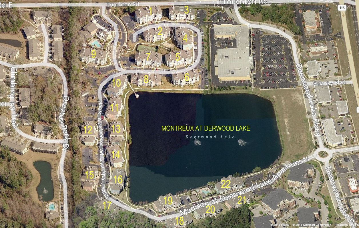 Aerial photo of Montreux at Derwood Lake