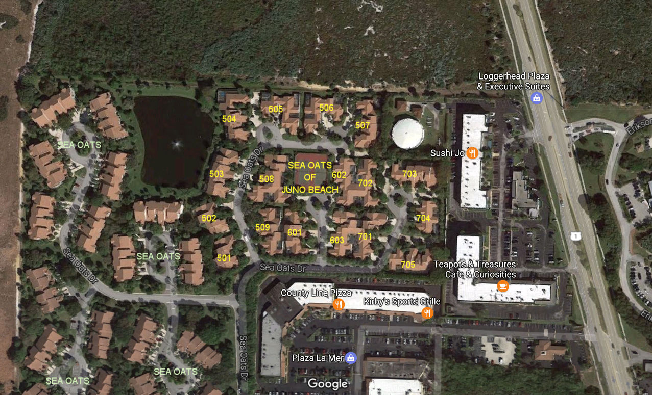 Aerial photo of Sea Oats of Juno Beach