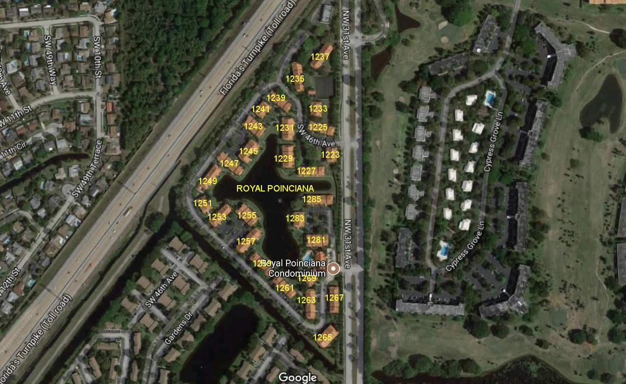 Aerial photo of Royal Poinciana