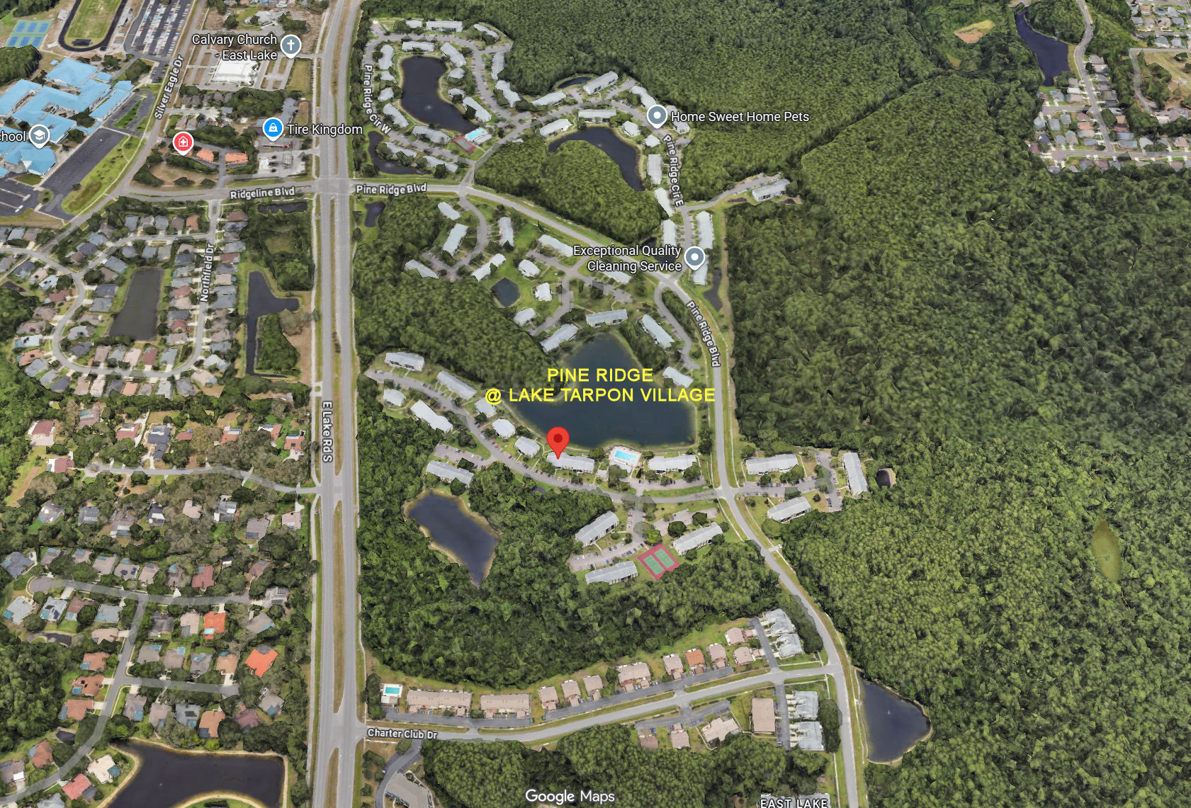 Aerial photo of Pine Ridge at Lake Tarpon Village